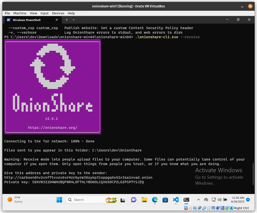 Running onionshare-cli.exe from the GitHub Actions-generated binary